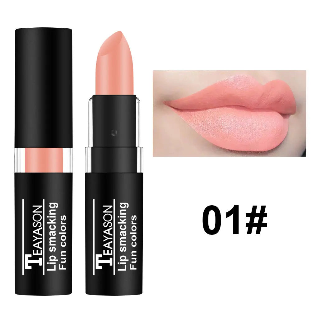 12-Color Matte Nude Lipstick Set